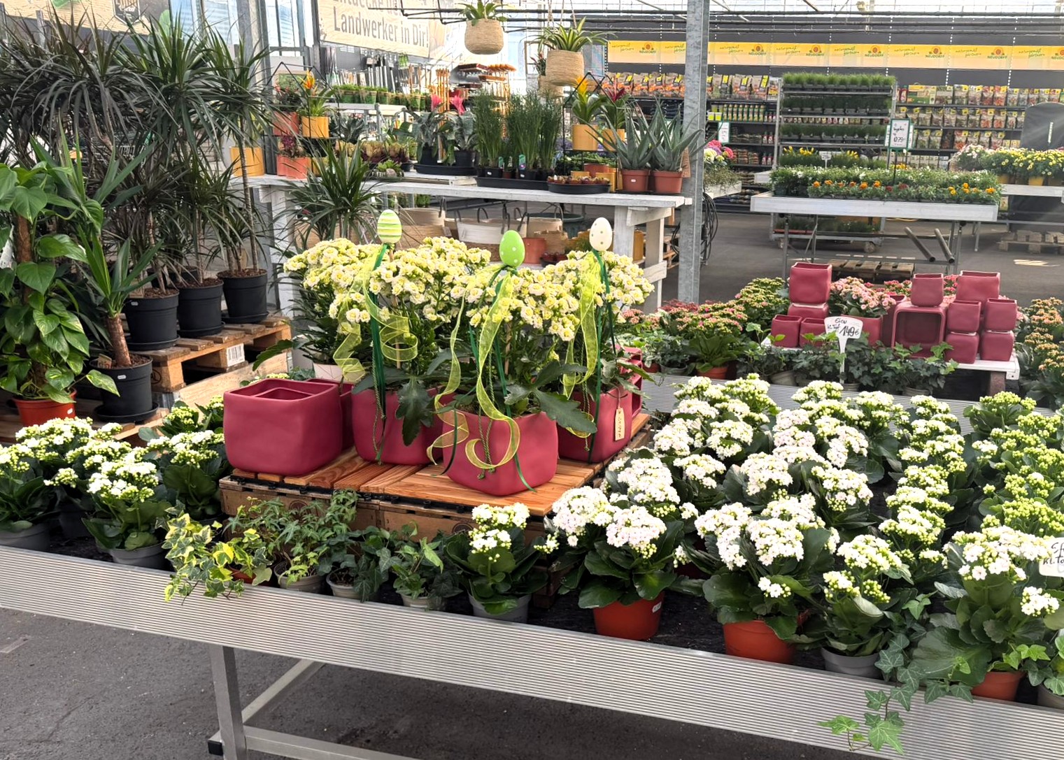 Monheimer Blumenmarkt